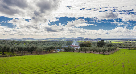 Mirandilla outskirts, Badajoz, Spain