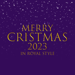 Fototapeta na wymiar Merry Christmas 2023 Banner, Royal style banner