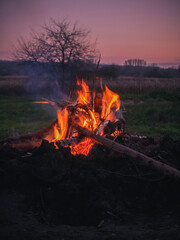 fire in the forest
