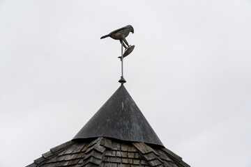 stork on the roof