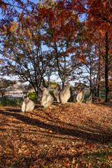 ステゴサウルス板骨の小径　阿須運動公園　古代広場（埼玉県飯能市） © WAWA
