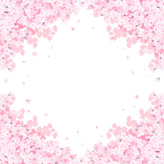 Fototapeta na wymiar 満開の桜　フレーム・背景素材（正方形）