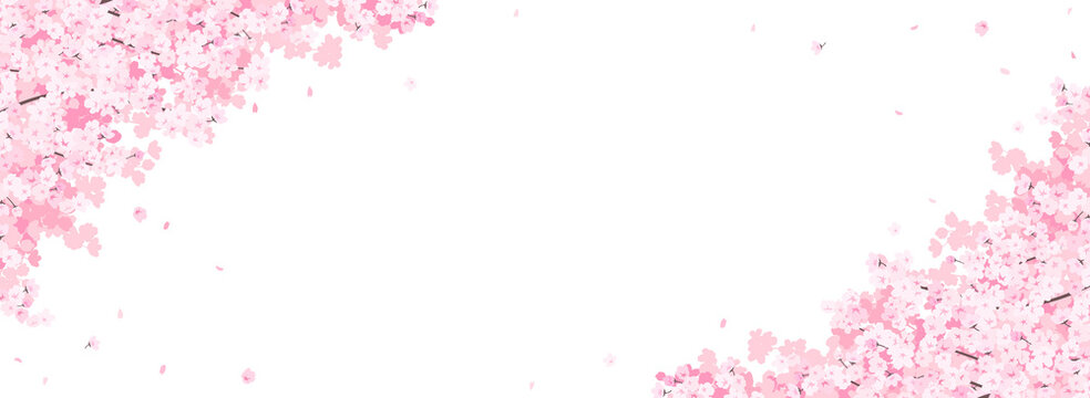満開の桜　フレーム・背景素材（バナー向け横長）