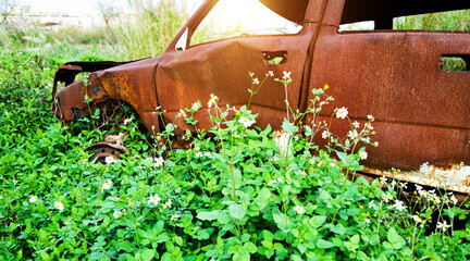 Old rusty abandoned car in overgrown grass