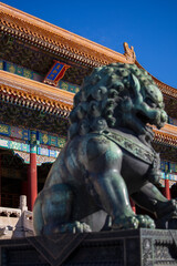 Fototapeta premium the palace museum in autumn 