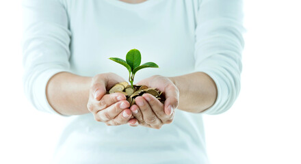 Businesswoman holding little tree  growing from pile of coins