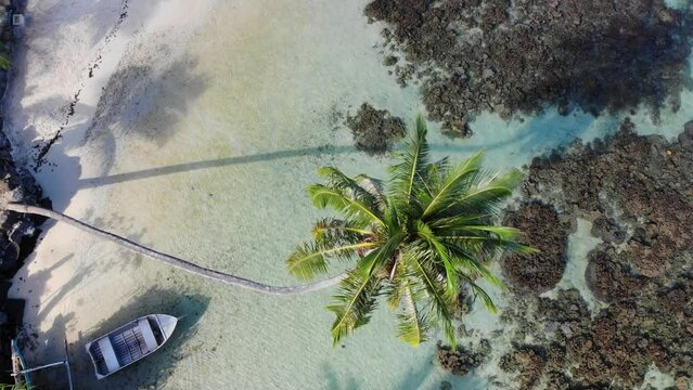 Un lagon Tropical bord&eacute; de cocotiers  avec une barque de p&eacute;cheur sur sa rive