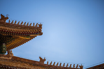 Obraz premium the palace museum in autumn 