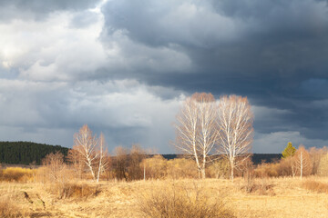 Autumn rural landscape. Waiting for the rain