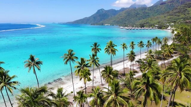 La superbe plage de Temae &agrave; Moorea en Polyn&eacute;sie Fran&ccedil;aise avec son lagon unique au monde survol&eacute;e eu drone.