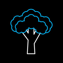 Broccoli isolated vector icon. Vegetable sign