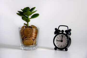 Growing plant on gold coins in a glass with alarm clock. Copy space and investment concept.