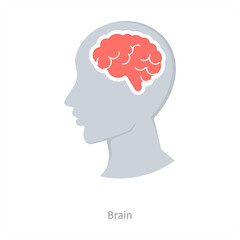 Brain