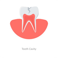 Tooth Cavity