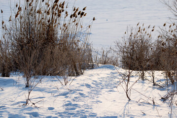 A trail in the snow in a winter field. The concept of winter. - 552772410