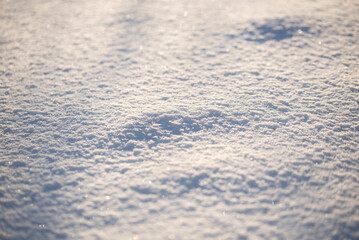 White snow close-up.Selective focus. Winter background. - 552772649