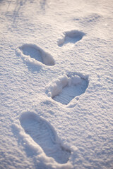 Human footprints on the white snow. Natural background. - 552772695