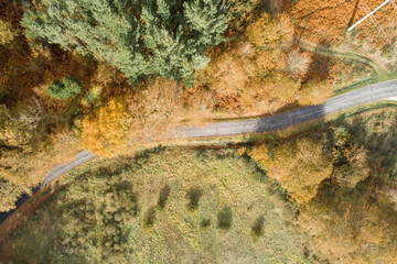 Obraz na płótnie Canvas aerial view of a road and a forest in the fall, autumn colors