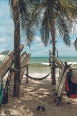 hammock on the beach