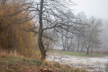 Foggy morning in an urban environment on the river.