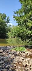 Paysage bucolique au bord de la rivière