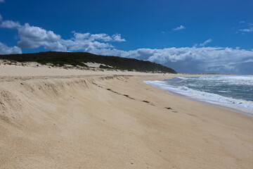 Waves crashing at Fingal Beach with people walking along the sand in the distance on a sunny day.