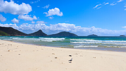 Fototapeta na wymiar View toward Tomaree Mountain in Port Stephens, taken from the Fingal Spit on a sunny blue sky day