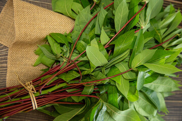 A bunch of fresh cassava leaves