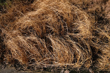 straw bale background