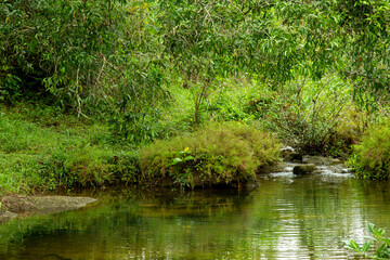 A scenic view of calm creek