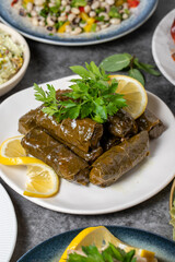 Traditional Turkish and Greek dinner appetizer table. Mediterranean appetizer concept. Dry cowpea salad, roasted eggplant salad, stuffed leaves with olive oil, stuffed dried peppers, cabbage rolls