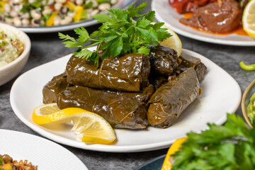 Traditional Turkish and Greek dinner appetizer table. Mediterranean appetizer concept. Dry cowpea salad, roasted eggplant salad, stuffed leaves with olive oil, stuffed dried peppers, cabbage rolls
