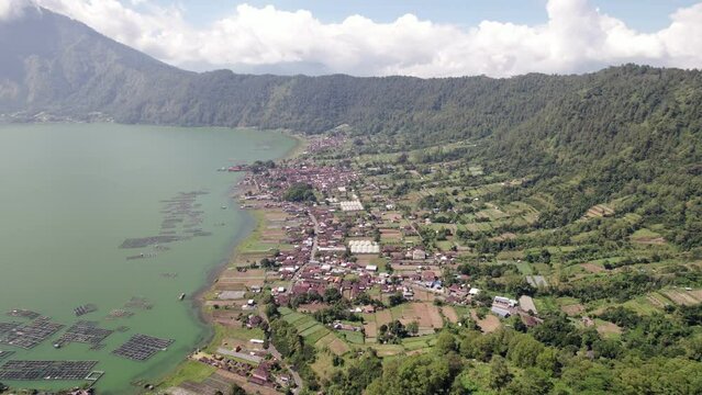 Kedisan and Buahan villages at shore of Batur lake in old volcano caldera, aerial shot in sunny morning. Small buildings, cultivated fields seen at bottom of hill. Fish farm cages float on green water