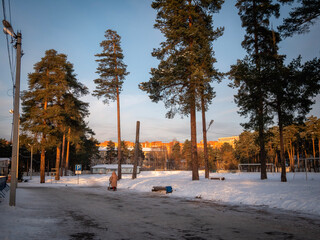 Fototapeta na wymiar park in winter