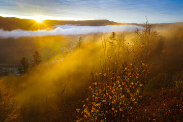 Herbstsonnenaufgang in den Nebel im Schwarzwald