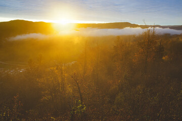 Herbstsonnenaufgang in den Nebel im Schwarzwald