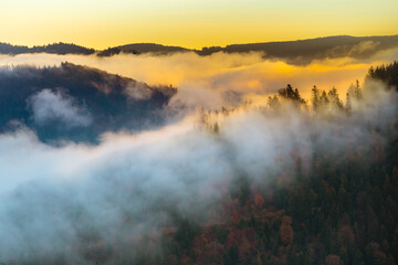 Herbstsonnenaufgang in den Nebel im Schwarzwald