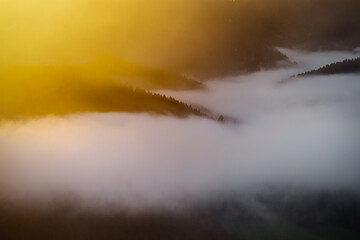 Herbstsonnenaufgang in den Nebel im Schwarzwald