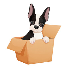 Cute boston terrier dog sitting in the box, adorable pet in cartoon style isolated on white background. Comic emotional character, funny pose