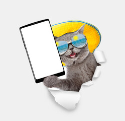 Happy kitten wearing mirrored sunglasses and summer hat holding big smartphone with white blank screen through torn white paper hole. Empty free space for mock up
