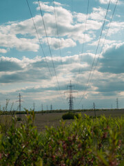 power lines in the field