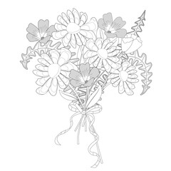 Black and white daisy and wild flowers bouquet with a bow. Coloring book page. Vector illustration.