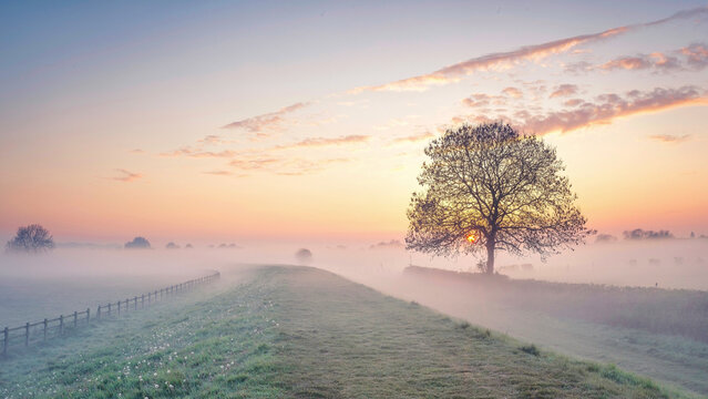 Ostfriesland im Winter	- 
Nebliger Sonnenaufgang bei Wolthusen