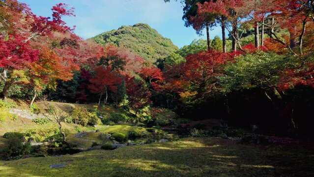 清水寺（福岡県みやま市）の本坊庭園