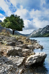 Mallorca mountain, 2022