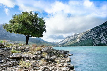 Mallorca mountain, 2022