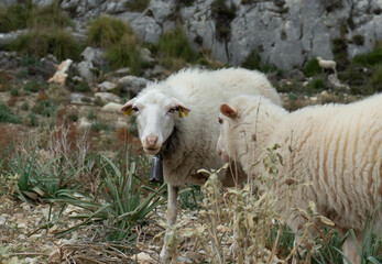 Mallorca mountain, 2022