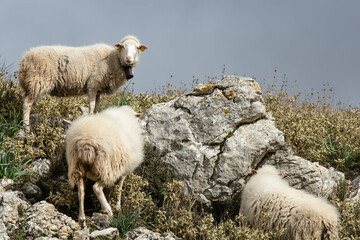 Mallorca mountain, 2022