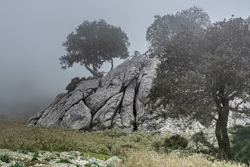 Mallorca mountain, 2022