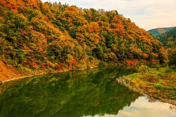autumn in the mountains